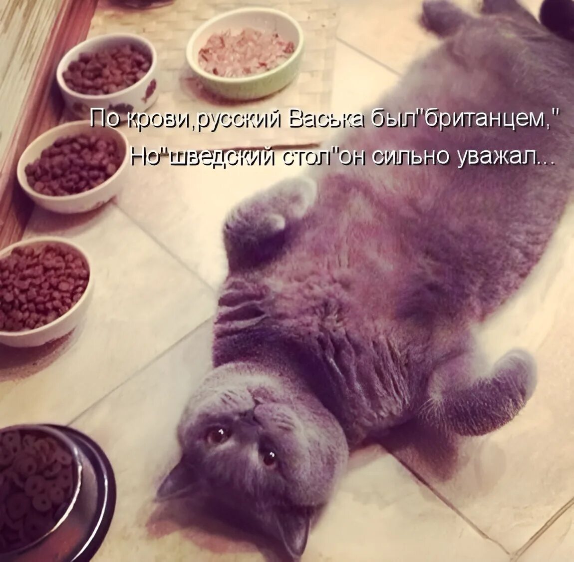 Я вижу как ты стараешься