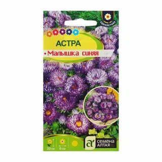Семена астры
