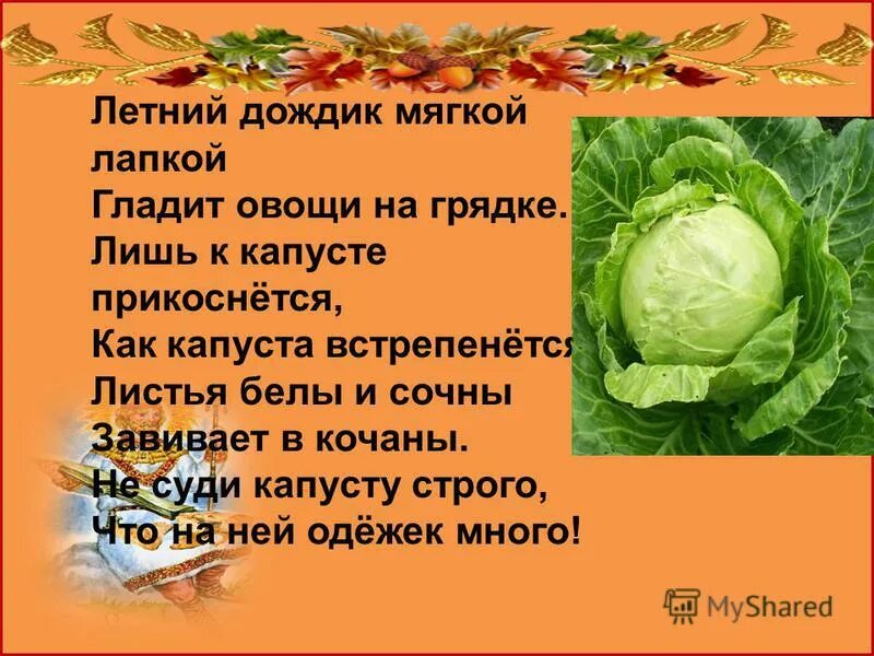 Октябрь капуста. Праздник капусты. Капуста для детей в детском саду. Открытки день капусты. Поздравление про капусту.