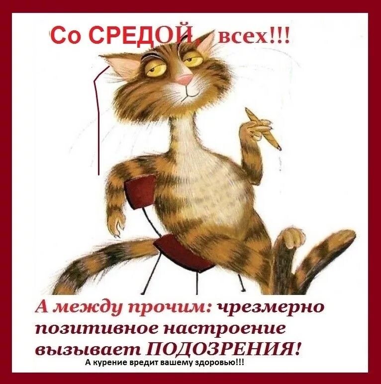 Утро работа среда