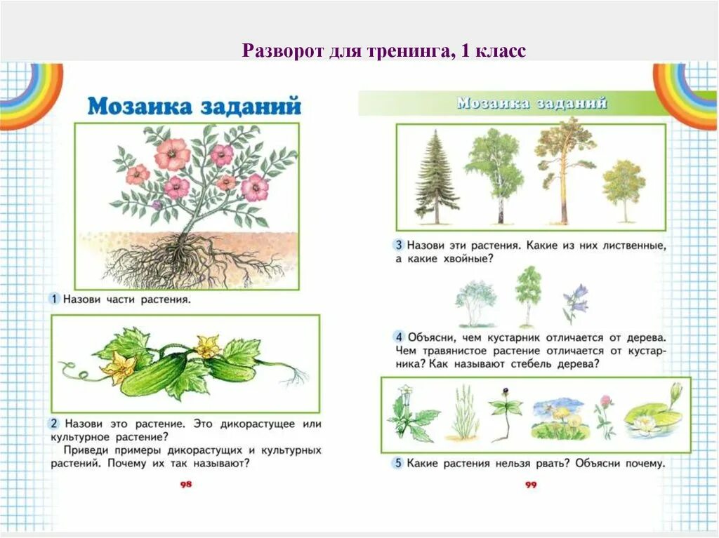 Задания по окружающему миру растения части растений. Задания растения 1 класс. Окружающий мир 1 класс задачи. Темы первого класса окружающий мир.