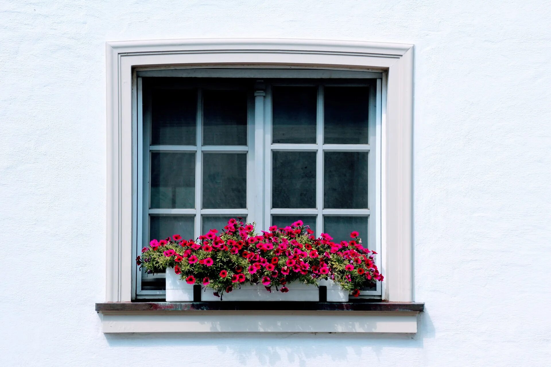 Same window. Окно снаружи. Цветы на подоконнике. Красивые окна. У окна.