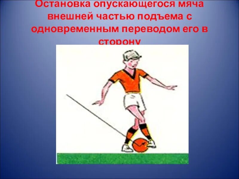 Части подъема. Остановка опускающегося мяча внутренней стороной стопы. Внешняя часть подъема. Остановка мяча внешней частью подъема. Ведение мяча с остановкой..