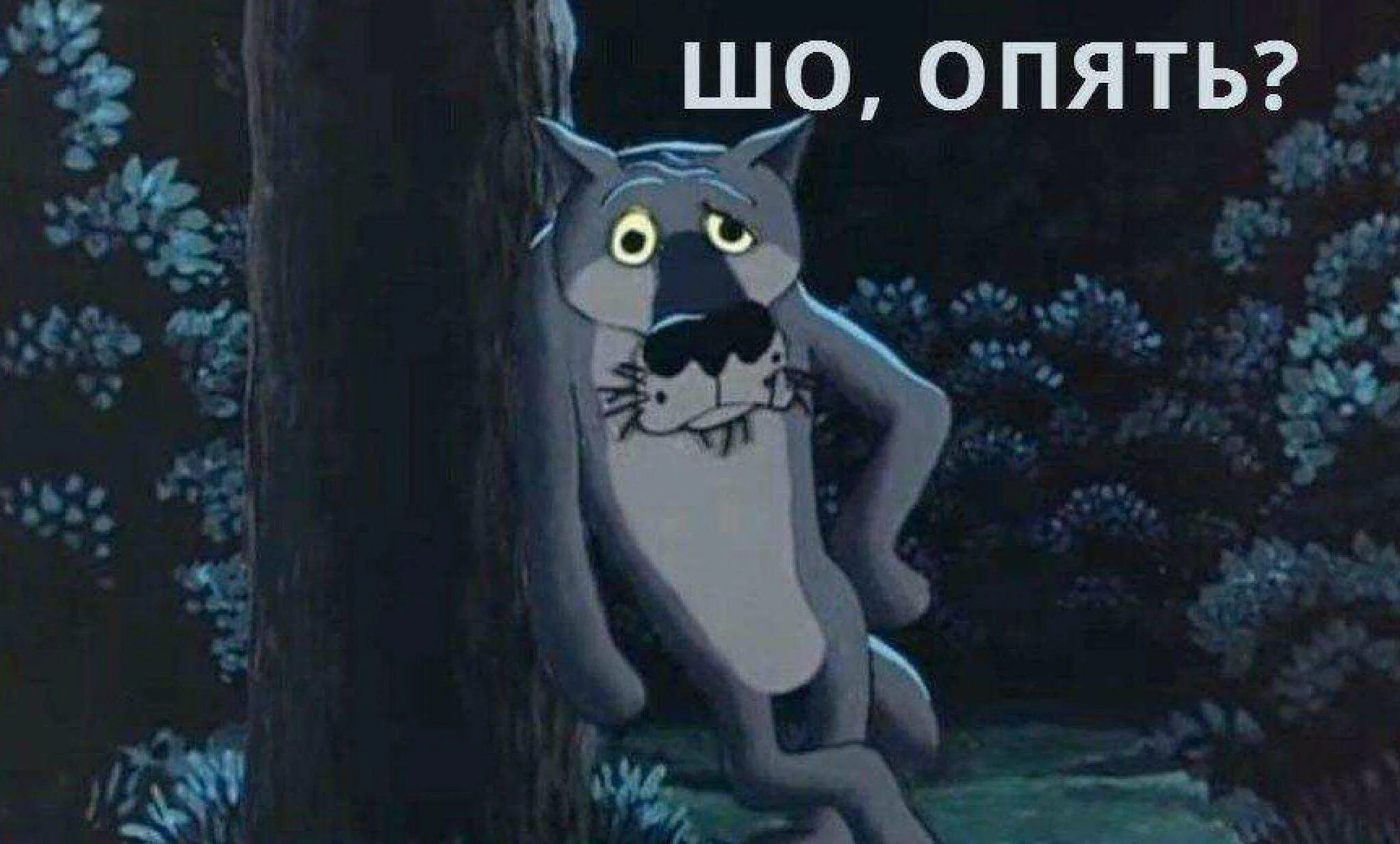 Ну ша. Шо опять. Ну ша. Щас запою. Волк сейчас спою.