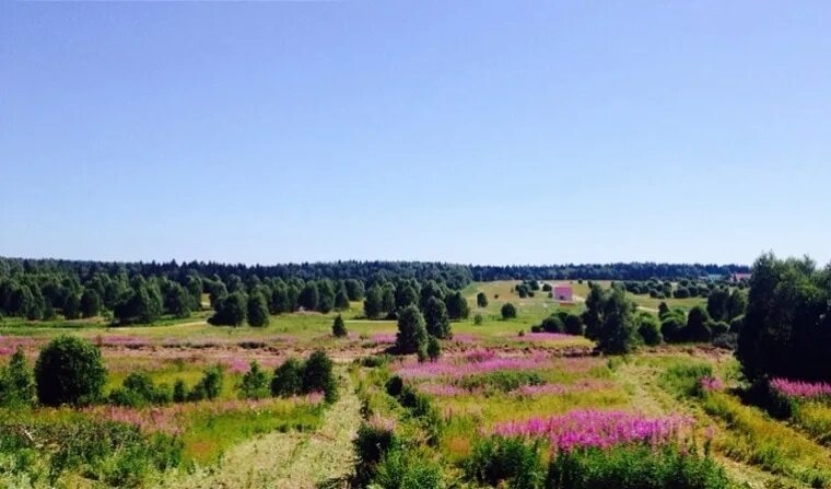 Природа Дмитровского района. Деревня Ивановское Дмитровский район. Московская область Дмитровский р-он природа. Деревня Яхрома Дмитровский район. Дмитровск подмосковье