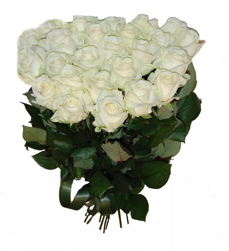 Сон белые розы букет. Букет из белых роз. Огромный букет белых роз. Красивый букет белых роз. Шикарный букет белых роз.