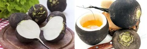 Редька зеленая с медом от кашля рецепт