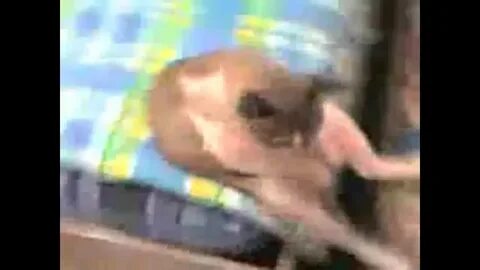 Покажи видео с ней