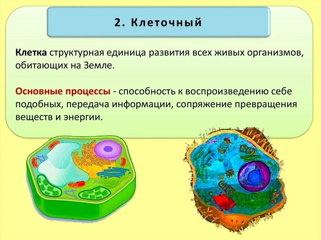 Энергия живых клеток организма. Уровни организации живой природы биосферный уровень. Клеточный уровень организации живого. Клеточный уровень организации живой материи. Клеточный уровень организации организма.