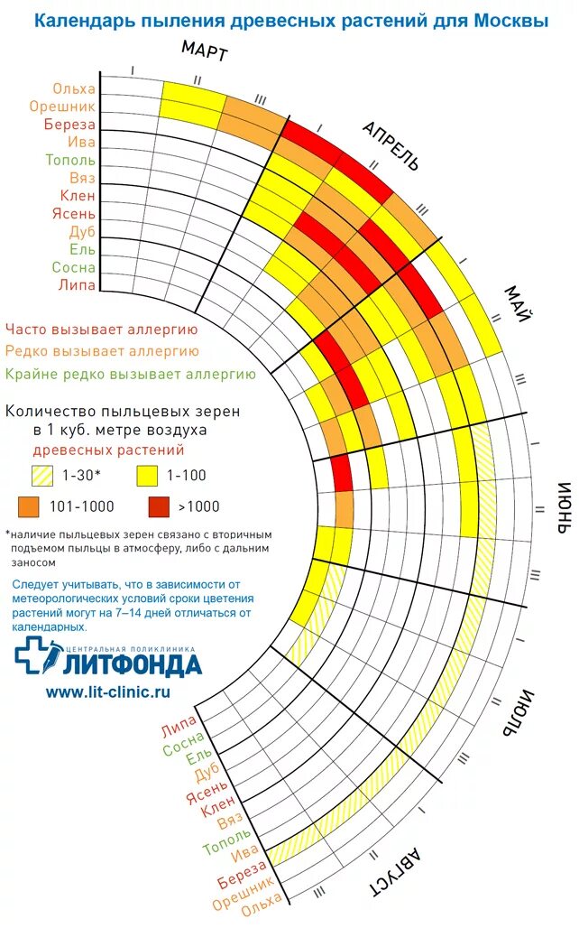 Концентрация пыльцы. Календарь цветения. Календарь аллергика. Календарь пыления растений. График цветения растений для аллергиков.