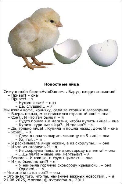 Цыплята во сне для женщины к чему