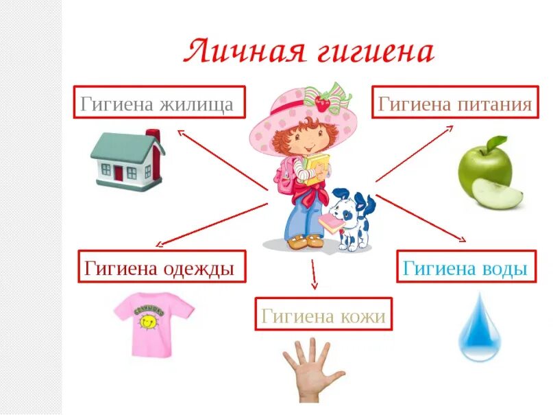 Гигиена презентация. Гигиена это 8 класс. Правила личное гигиены. Сбо гигиена. Сбо гигиена.