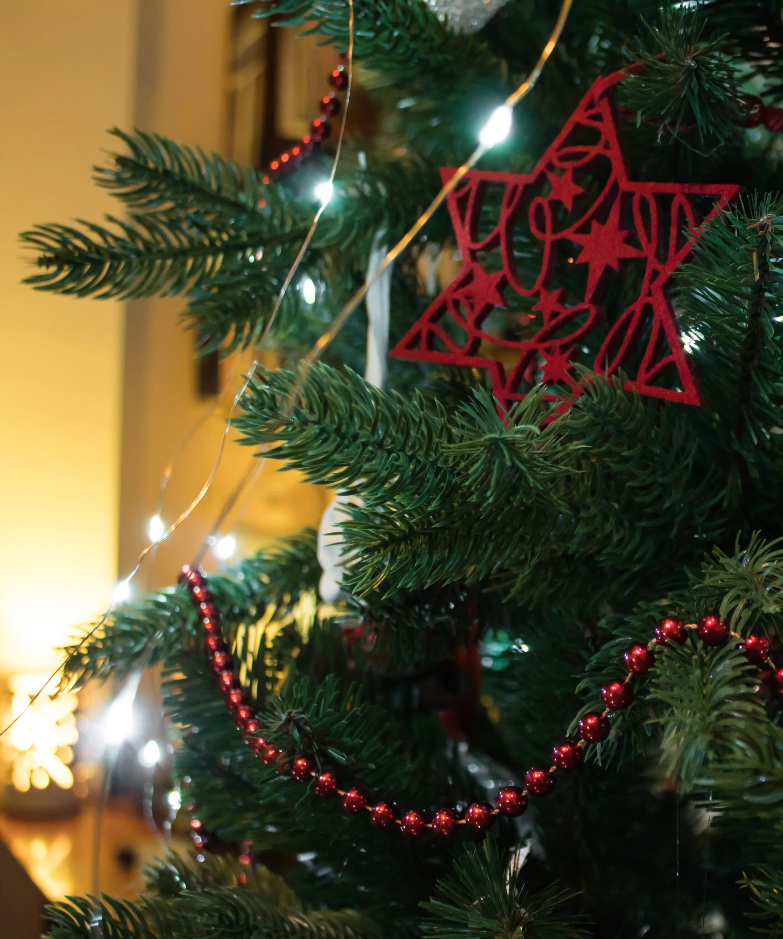 Green christmas tree