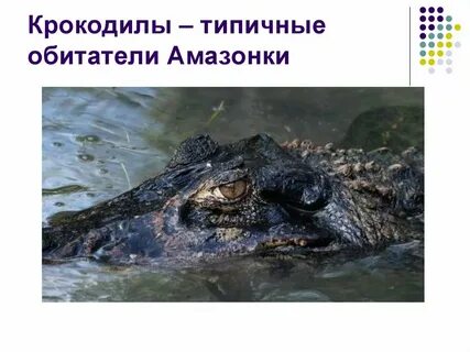 Типичный обитатель