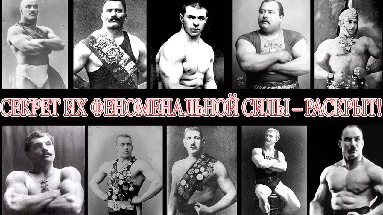 Система тренировок засса. Изометрические упражнения засса. засс статические упражнения.
