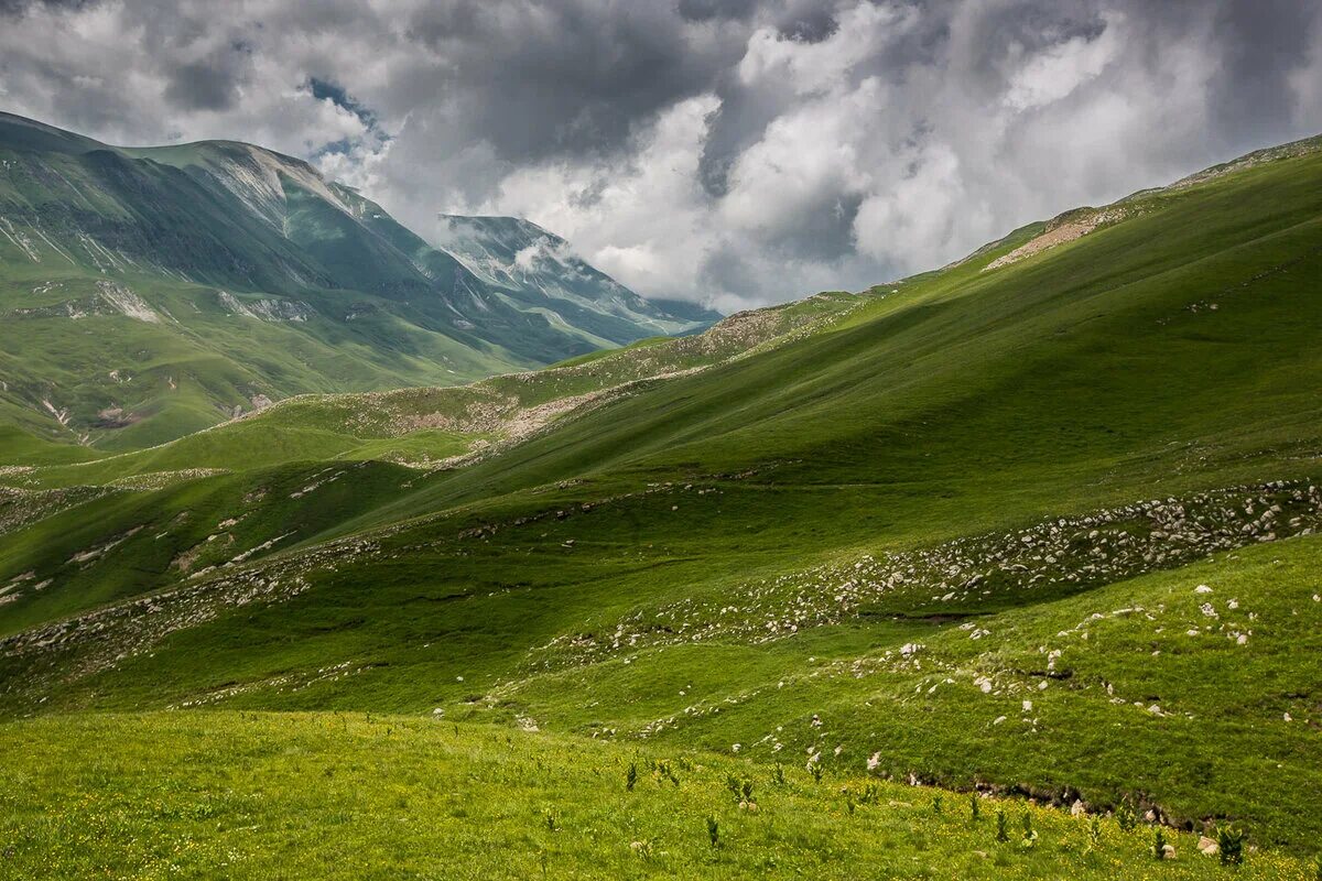 чечня грозный горы. почвенная карта чеченской республики. горная чечня итум_калинский район. гора гизчены чечня. почвы чечни карта.