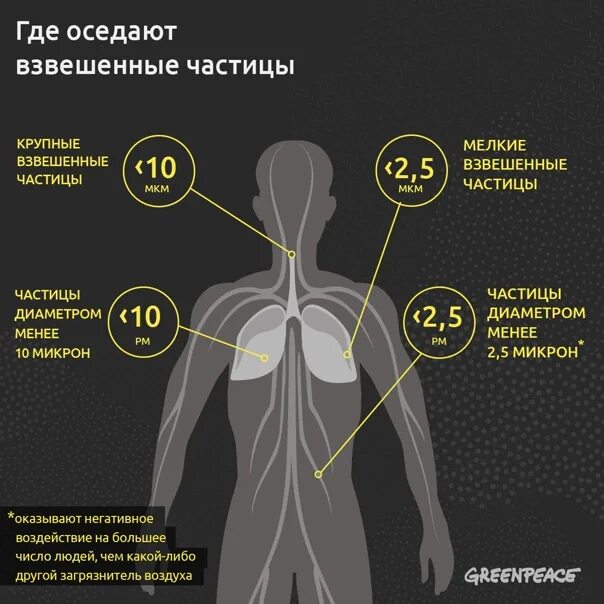 Взвесь твердых частиц в воздухе. Взвешенные частицы. Воздействие аэрозолей на организм человека. Взвешенные частицы воздействие в воздухе. Аэрозоли влияние на человека.