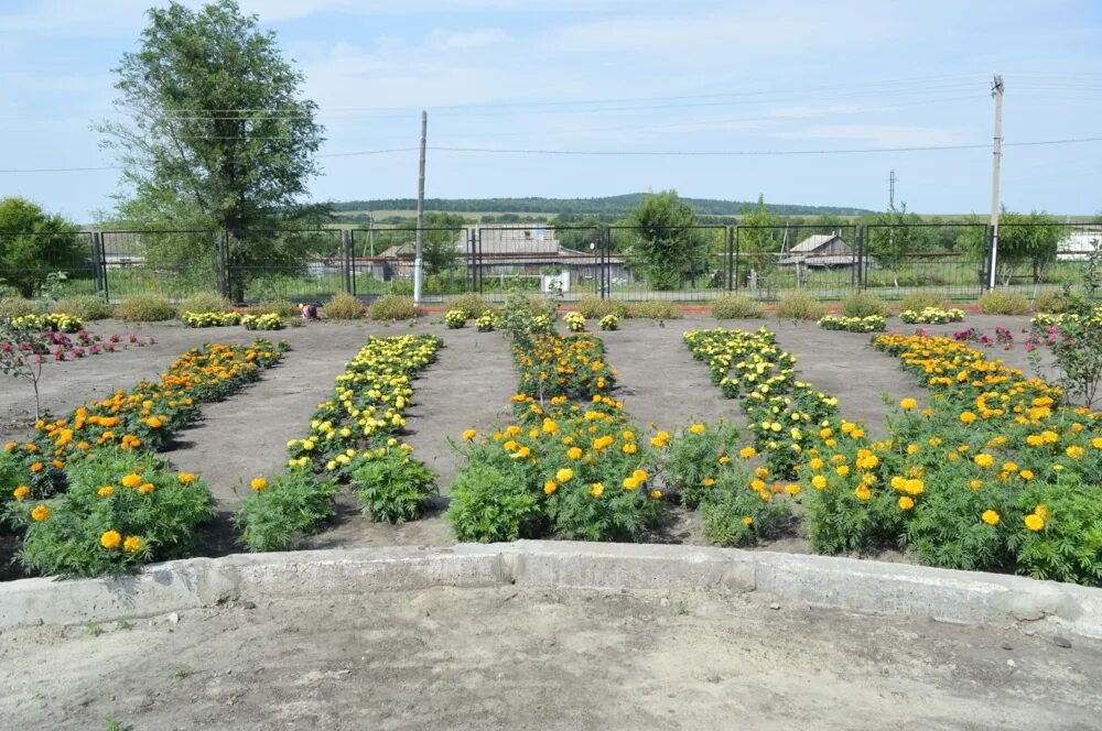 Гау октябрьский дом-интернат октябрьский. Столыпинский дом-интернат. Гау со интернат. Психоневрологический интернат с. Усть-ивановский психоневрологический интернат.