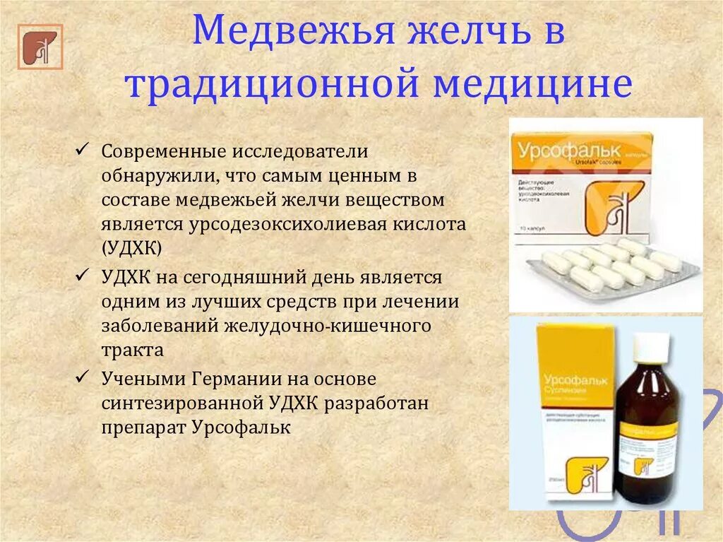 Надо пить желчь. Желчь. Как сделать лекарство из желоча. Как правильно употреблять медвежью желчь. Как принимать желчь медведя.