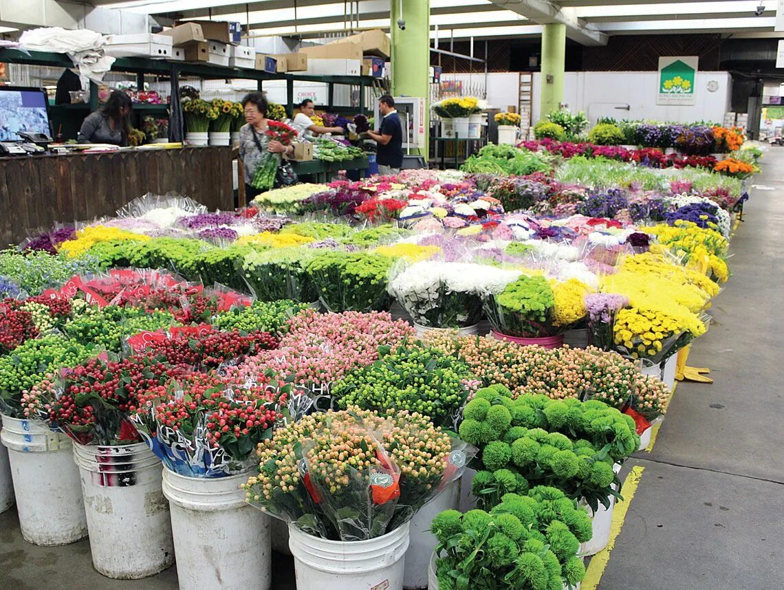 База цветов одинцово. Цветочная база метро Рижская. Рижский рынок Суккуленты. Рижский рынок цветы. Рижский рынок горшечные цветы.