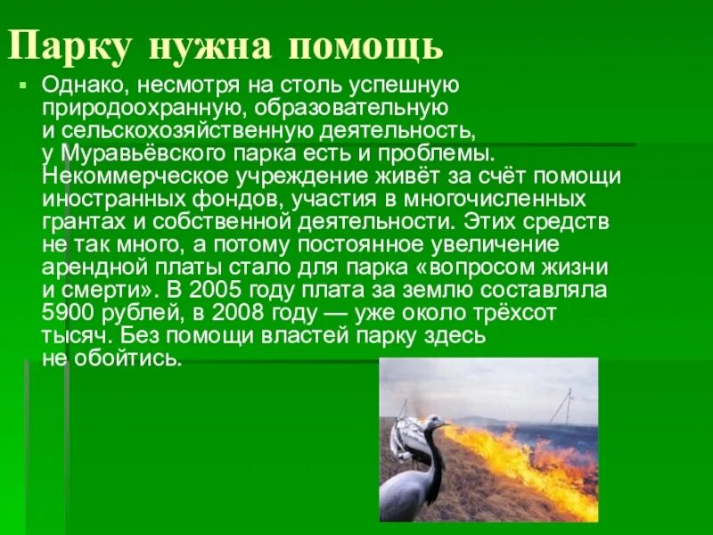 Влияние антропогенных факторов на растения. Зачем в городе нужны лесопарки. Классификация парков культуры и отдыха. Озеленение города. Зачем в городе нужны лесопарки кратко.