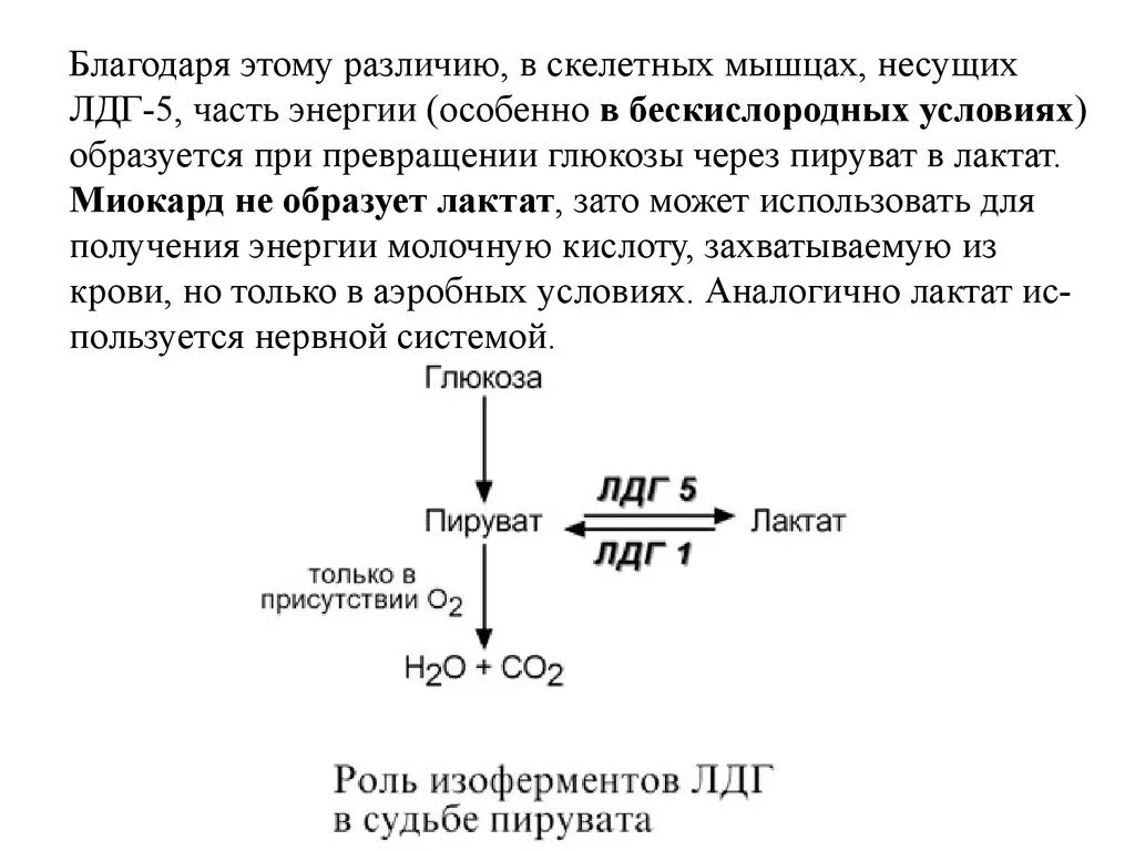 Фермент лдг. Лактат лактатдегидрогеназа пируват. Лактат превращение в пируват. Превращение лактата в пируват катализирует. Превращение лактата в пируват условия.