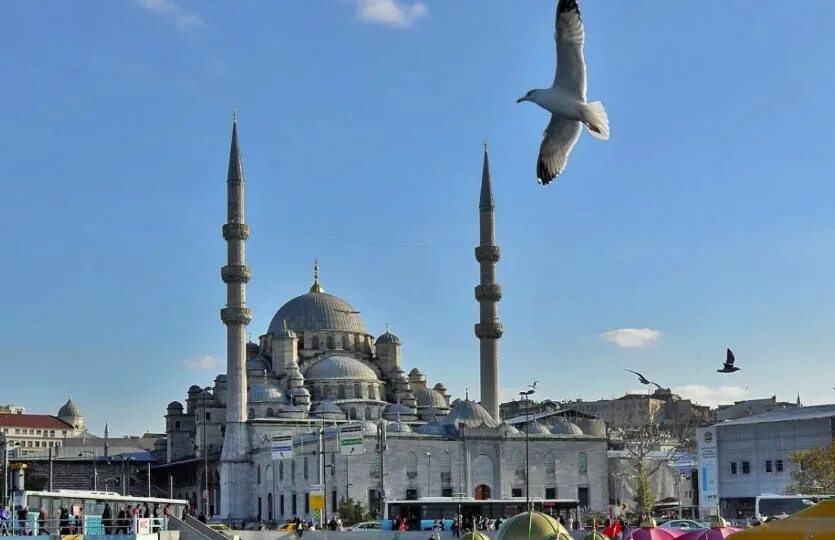 Турция россия стамбул. Стамбул Турция. Стамбул Россия. Стамбул в ноябре. Стамбул Турция фото города.