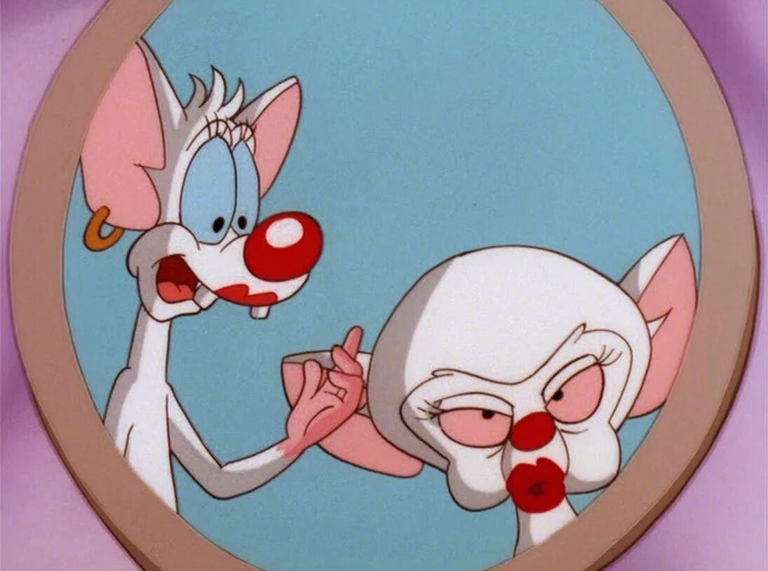 Pinky and brain. Пинки из мультика Пинки и Брейн.