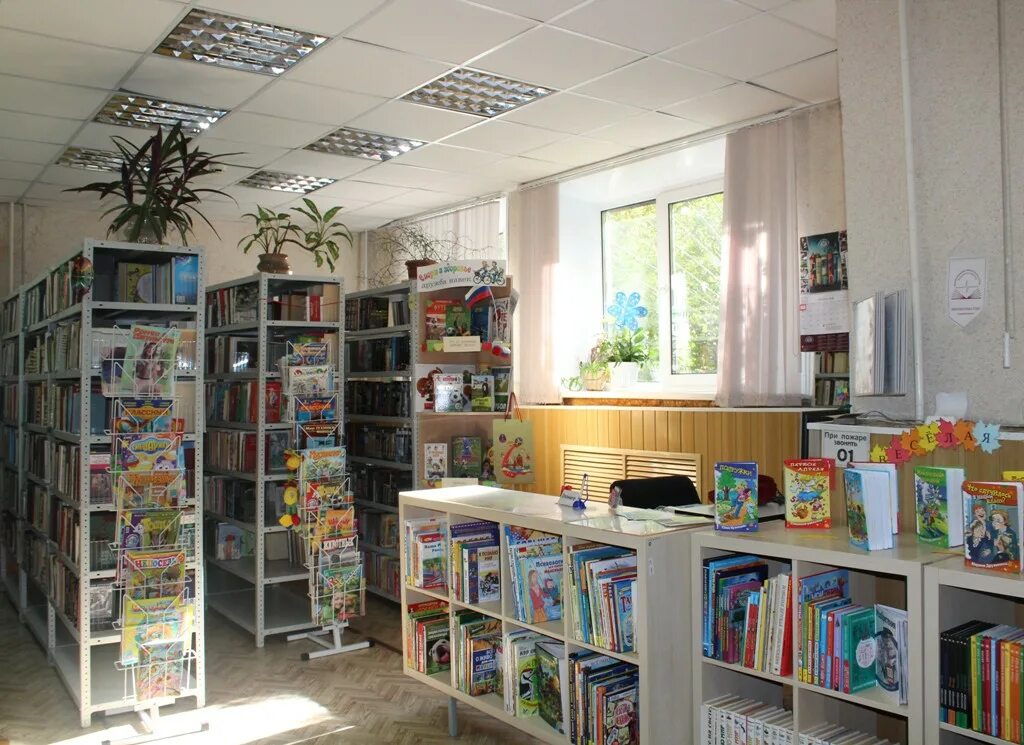 Районная библиотека нижний новгород. Центральная городская библиотека имени в. Библиотека имени достоевского нижний новгород. Библиотека им островского нижний новгород. Районная библиотека нижний новгород.