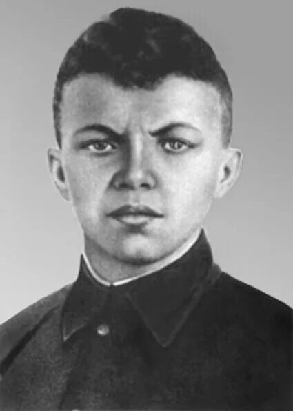 Рядовой Александр Матросов. Памяти Героя. Часть вторая. О Героях былых времён. Д