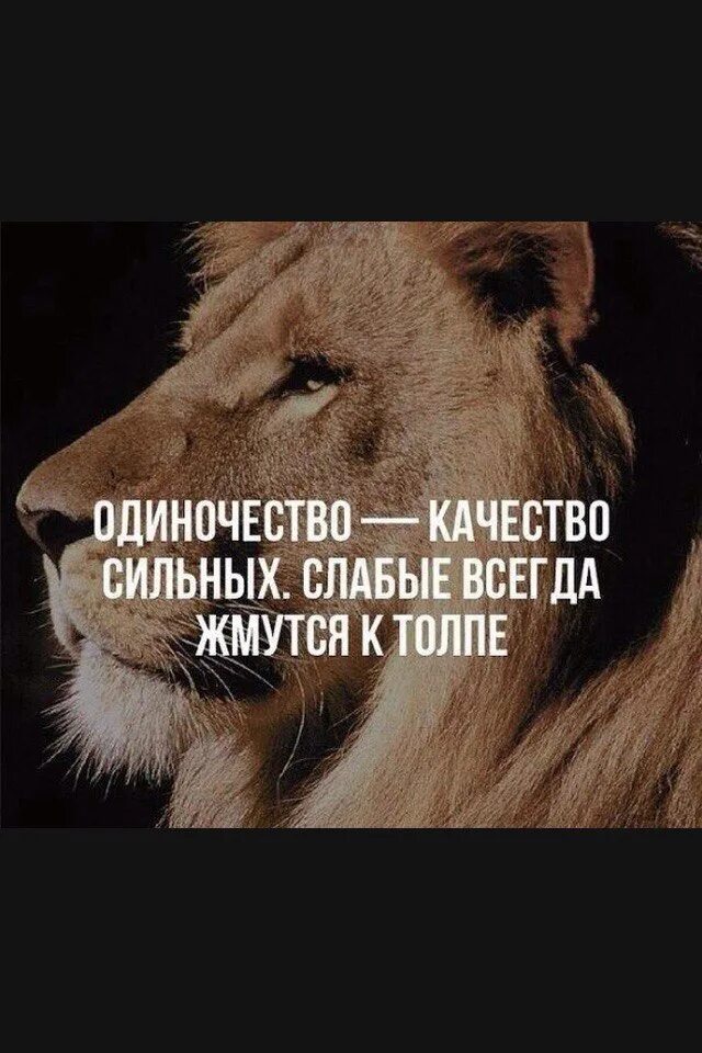 Условия сильного слабому. Одиночество качество сильных. Одиночество качество сильных слабые. Одиночество качество сильных слабые всегда жмутся к толпе. Слабые всегда жмутся к толпе.