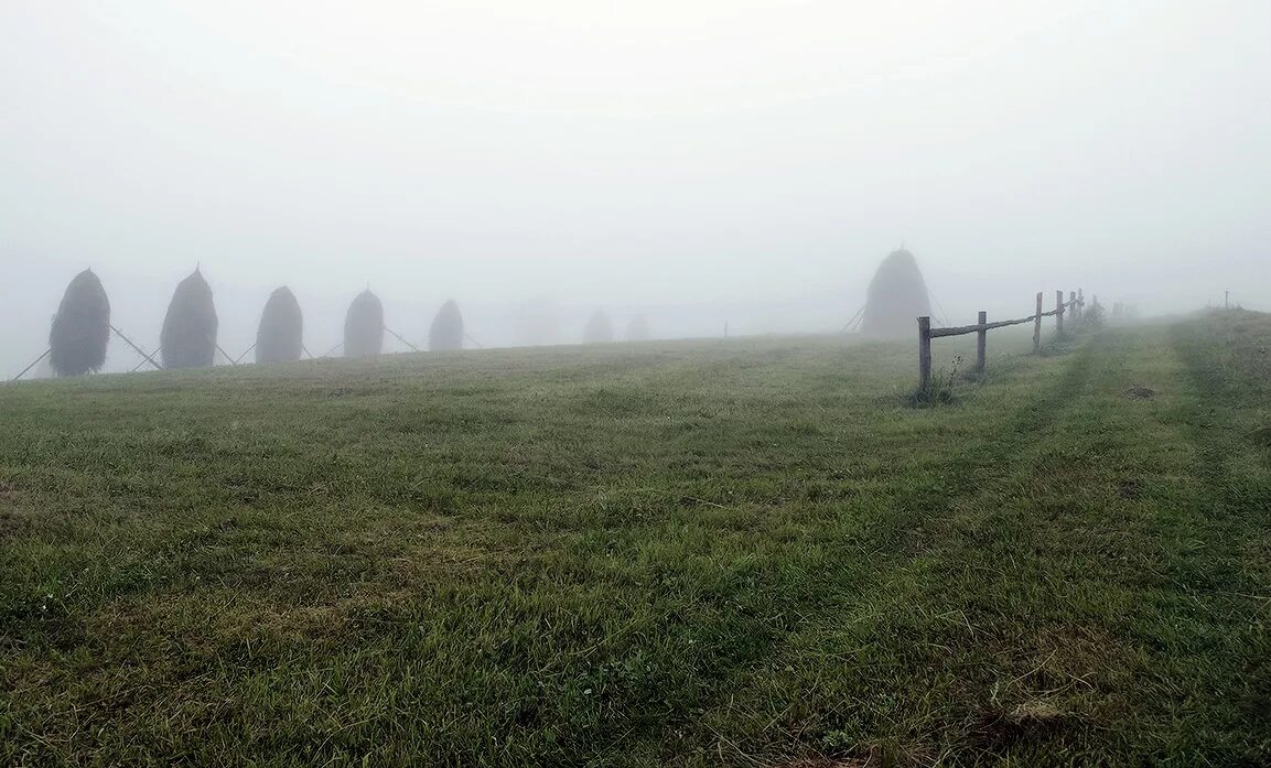 Человек в тумане. Загадочный туман. Игрок в тумане иллюзий. Туман в глазах. В тумане иллюзий.