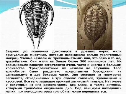 Самый древний организм