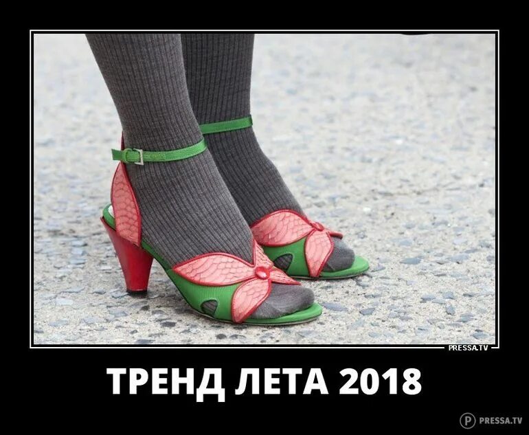 Не лето его мама. Шутки про холодное лето. Открытки с летом. Где ты лето. Последние дни уходящего лета стихи.