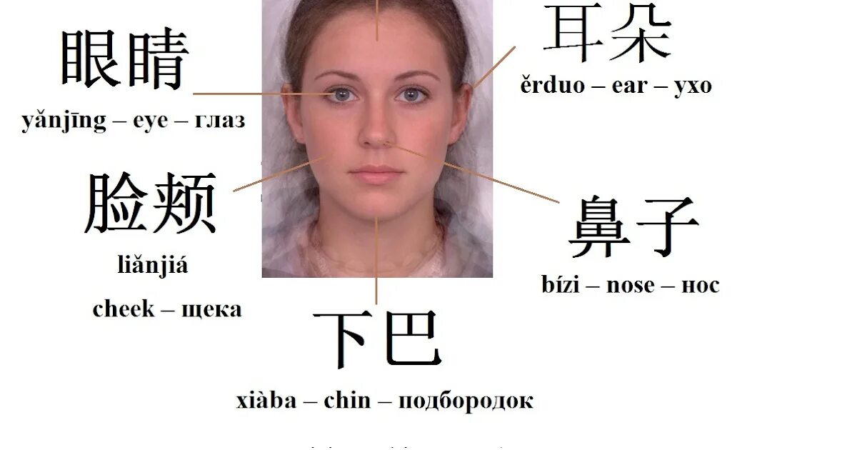 Как будет 7 на китайском. Части тела на китайском языке. Части лица на китайском языке. Части лица на китайском для детей. Тема лицо в китайском.