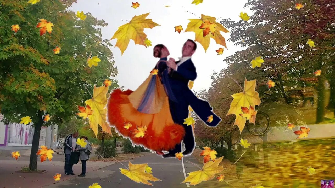 Песня кружит осенний листопад а сердце. Осенняя прогулка листопад. Свадьба осень листопад. Багряные листья кружатся кружатся. Осенний дождь и листопад.