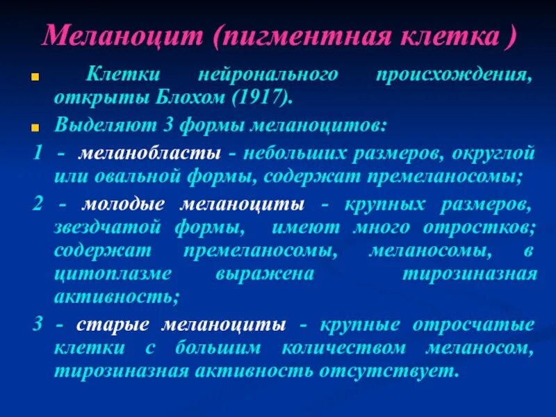 Меланоциты функции. Функции меланоцитов. меланоциты пигментные клетки. основная функция меланоцита. пигментные клетки функции.