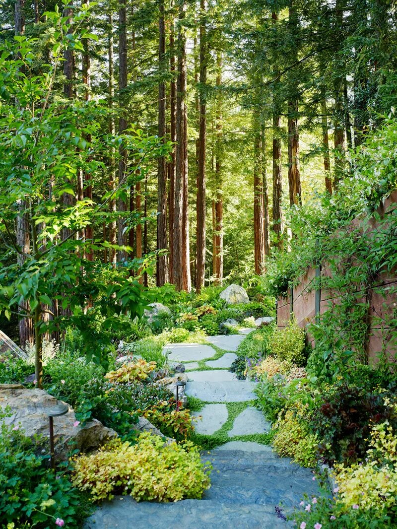 Участок хвойный лес. Гарден Фореста ландшафт. Garden Foresta ландшафт. ЭКОЛАНДШАФТ Лесной участок. Малоуходный сад в природном стиле.