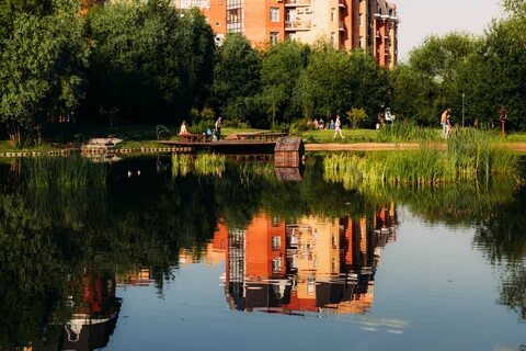Тай куркино