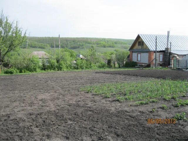 Село Ягодная Поляна Татищевского района. Ягодная Поляна Саратовская область Татищевский район. Село Ягодная Поляна Татищевского района Саратовской области. Село Ягодная Поляна Саратовская область.