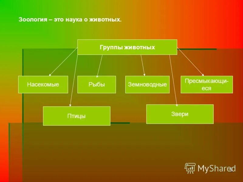 Общее название группы наук