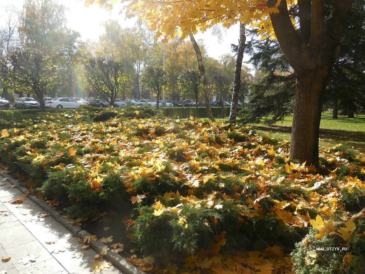 Ставрополь осенью. Ставрополь улицы. Осень в городе эстетика. Парк ленина ставрополь. Ставропольский край пятигорск осень.