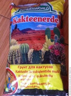 Какая земля для кактусов