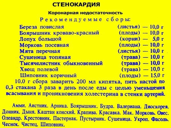 Препараты от стенокардии. Лекарственные средства при стенокардии. Народные средства от стенокардии. Препараты при стенокардии список.