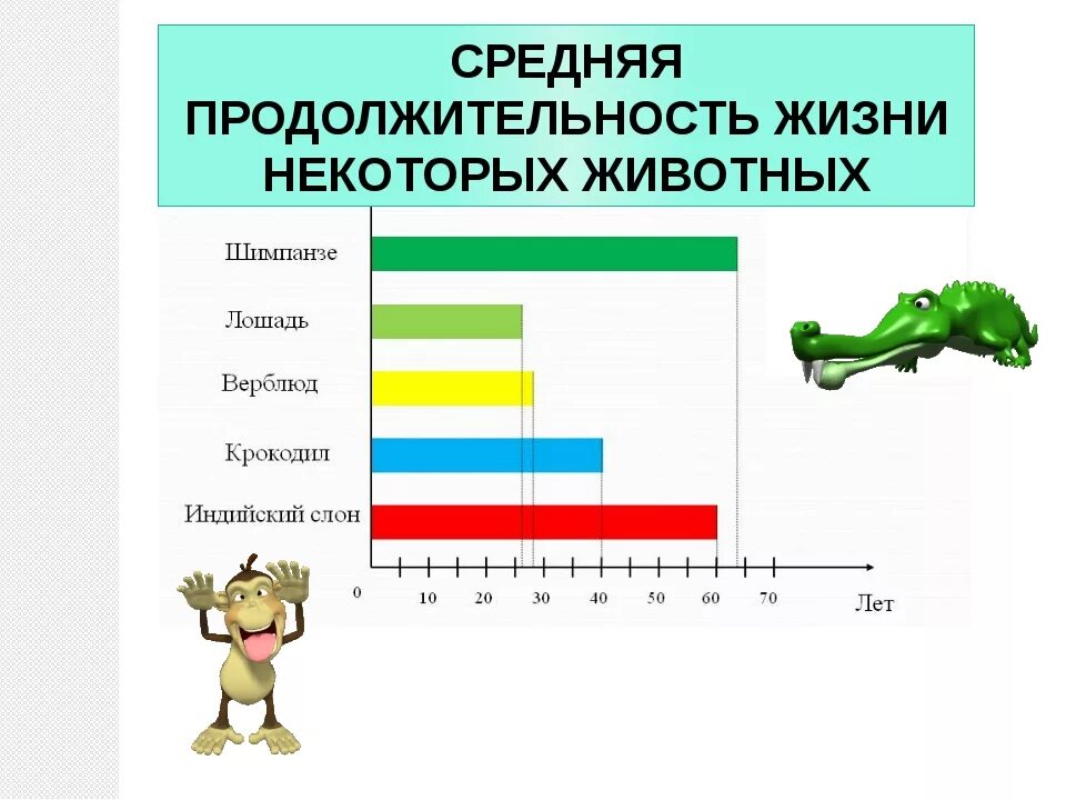 Продолжительность жизни зверей. Диаграмма продолжительности жизни животных. Средняя Продолжительность жизни животных. Средняя Продолжительность жизни крокодила. Продолжительность жизни некоторых животных.