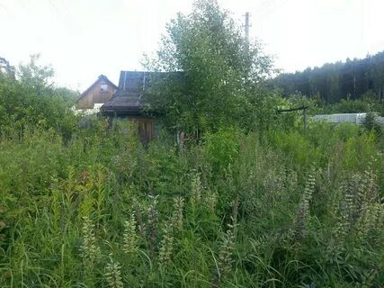 Снт деревня