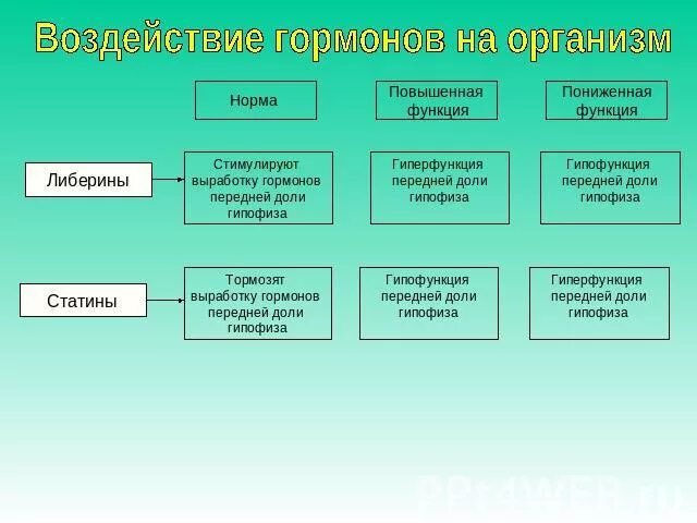 Влияние гормонов на развитие. Воздействие гормонов на организм. Влияние гормонов на тело. Организм гормон влияние на организм. Гормоны и их действие на организм.