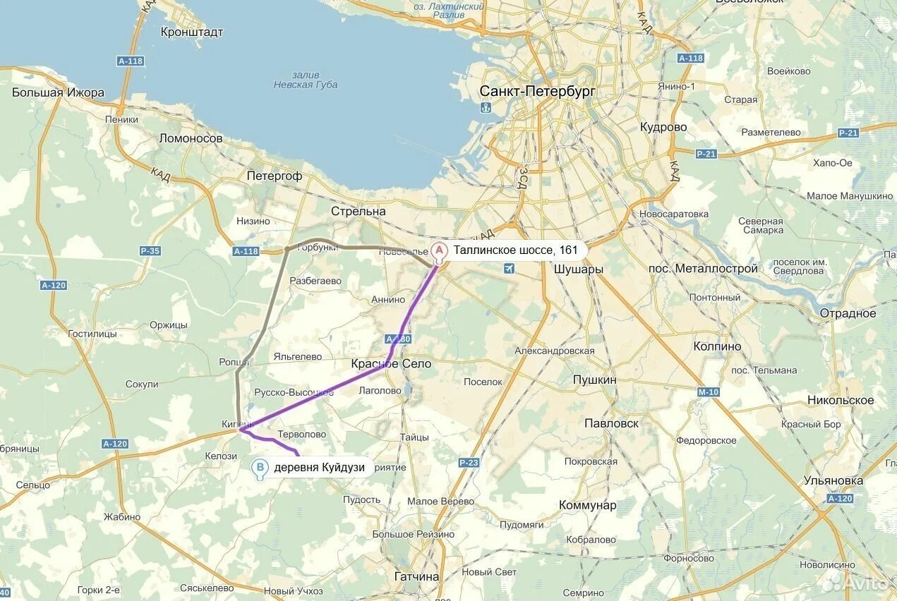 Спб расписание 486 кипень. Спб расписание 486 кипень