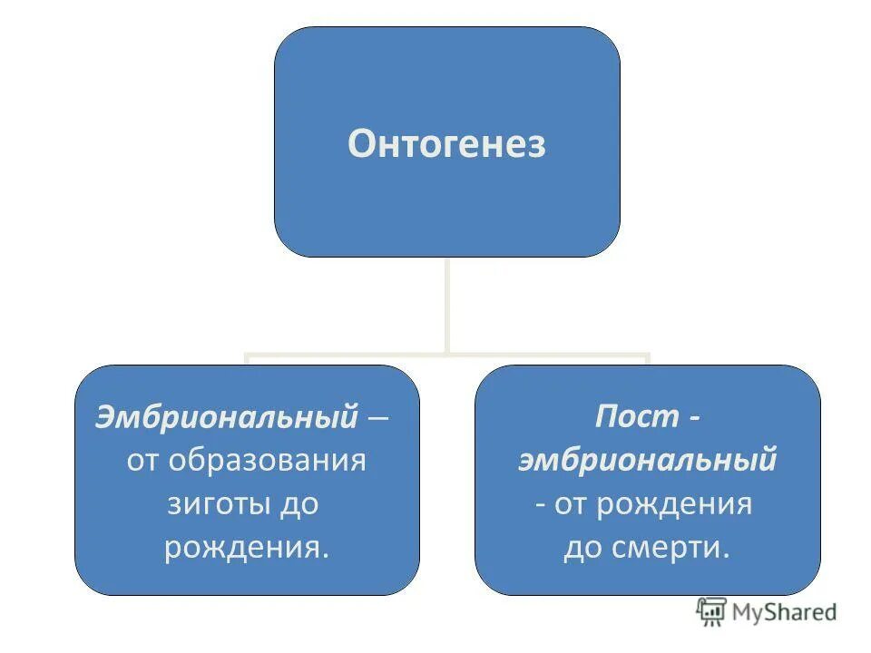 Био уроки. Био уроки