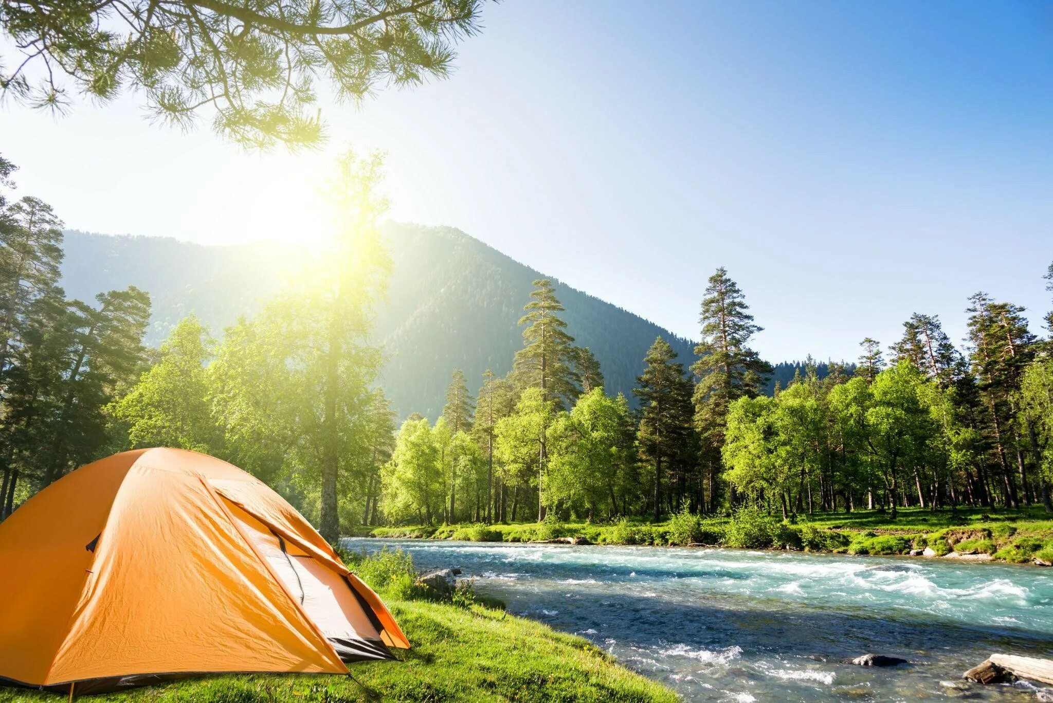 Tourist camping. Поход с палатками. Палатки Алтай Кэмп. Ривер кемпинг Алтай. Кемпинг Форест.